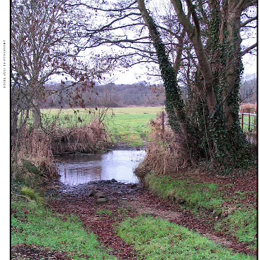 Ringwood, Hampshire, UK Nestled at the edge (now) of the New Forest, Ringwood is my home town in the UK